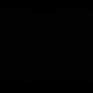 Meet your Posher, Torri